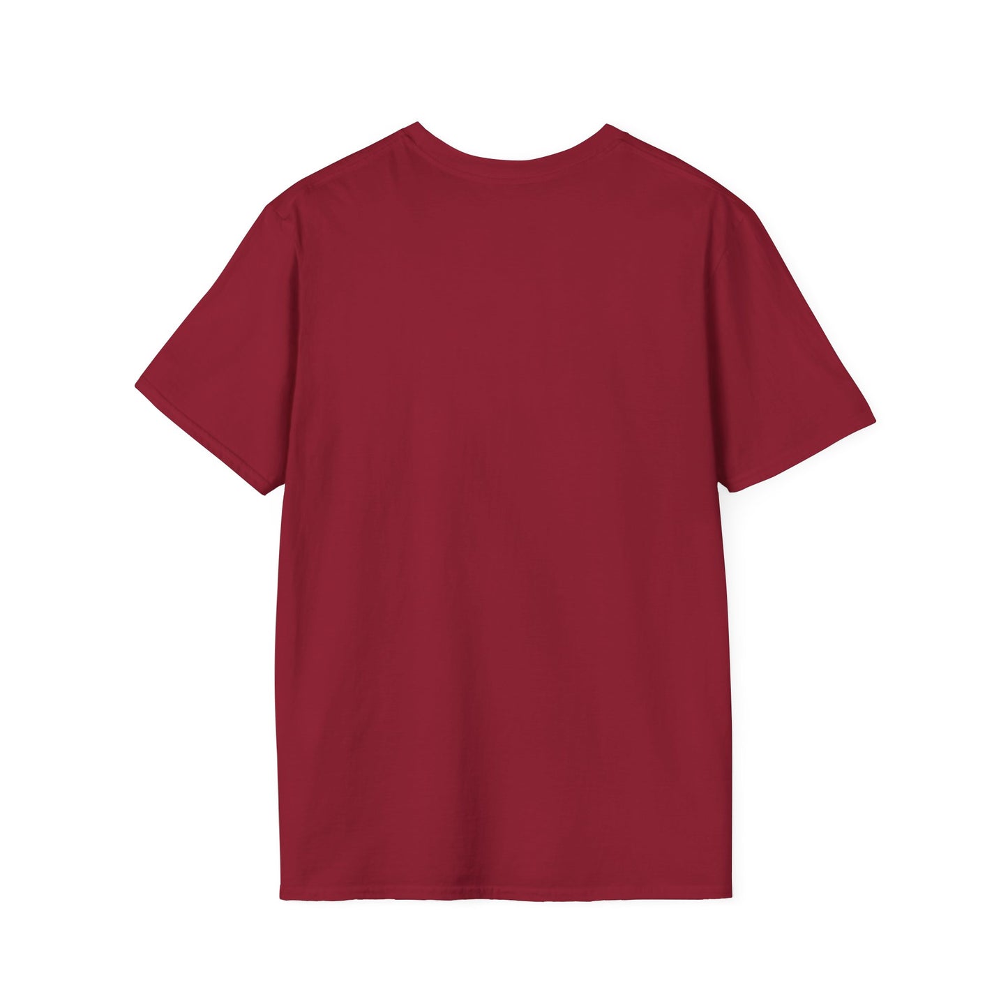 America 250 T-Shirt